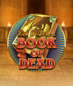 Enter the thrilling world of Book of Dead by Play'n GO, presenting vivid graphics of Rich Wilde's journey through ancient Egyptian tombs and artifacts. Uncover lost riches with exciting mechanics like free spins, expanding symbols, and a gamble option. Ideal for those seeking adventure with a desire for thrilling discoveries.